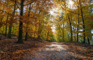 Картинка природа дороги простор