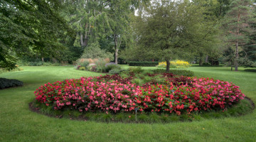 Картинка природа парк простор