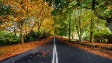 Картинка природа дороги простор