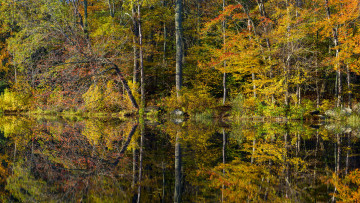 Картинка природа реки озера простор