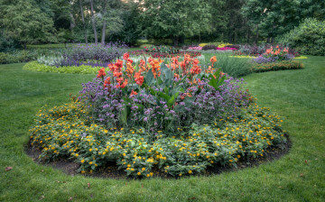 Картинка природа парк простор