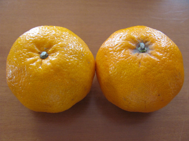 Обои картинки фото еда, цитрусы, апельсины