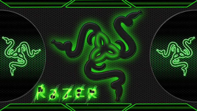 Обои картинки фото компьютеры, razer, логотип, фон