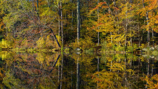 Обои картинки фото природа, реки, озера, простор