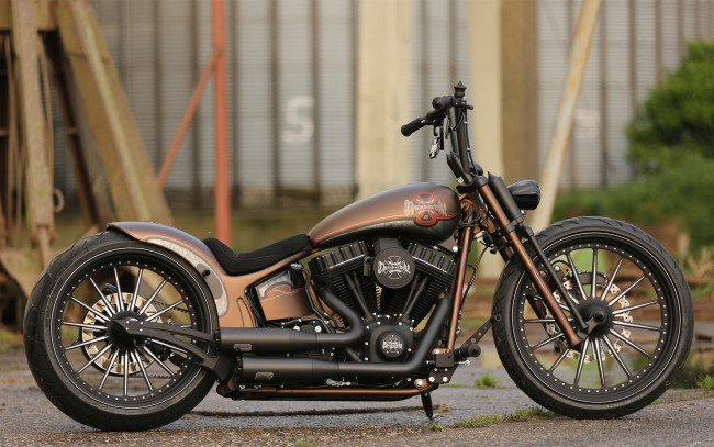 Обои картинки фото мотоциклы, customs, bobber