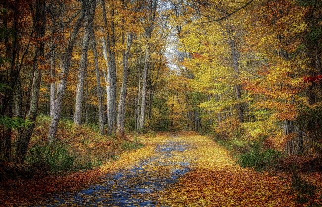 Обои картинки фото природа, дороги, простор