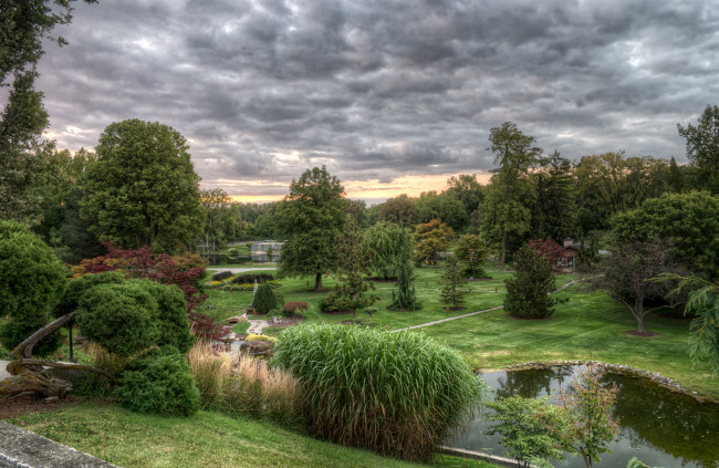 Обои картинки фото природа, парк, простор