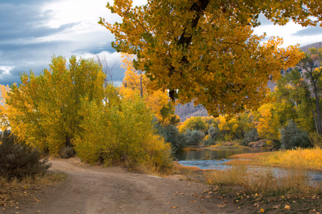 Обои картинки фото природа, дороги, простор