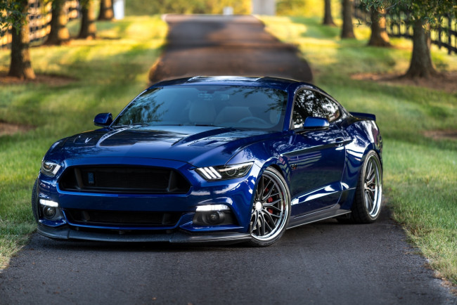 Обои картинки фото автомобили, mustang, ford