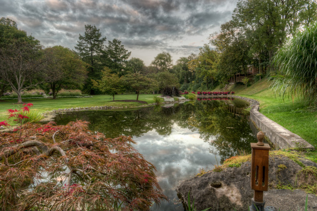 Обои картинки фото природа, парк, простор