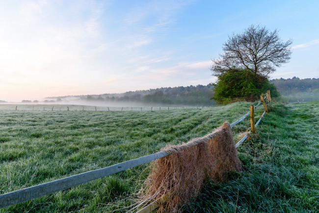 Обои картинки фото природа, поля, простор