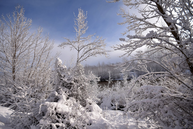 Обои картинки фото природа, зима, простор