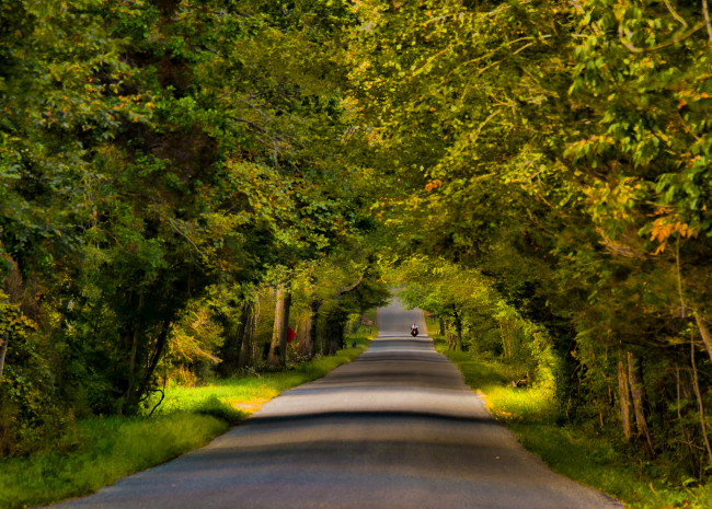 Обои картинки фото природа, дороги, простор