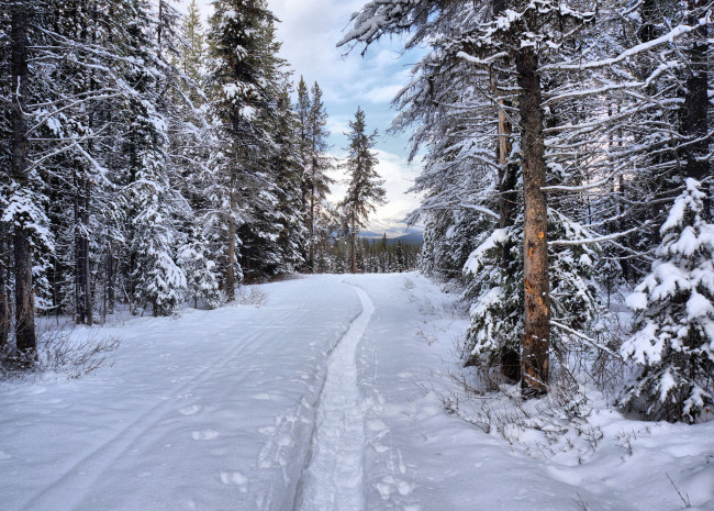 Обои картинки фото природа, зима, простор