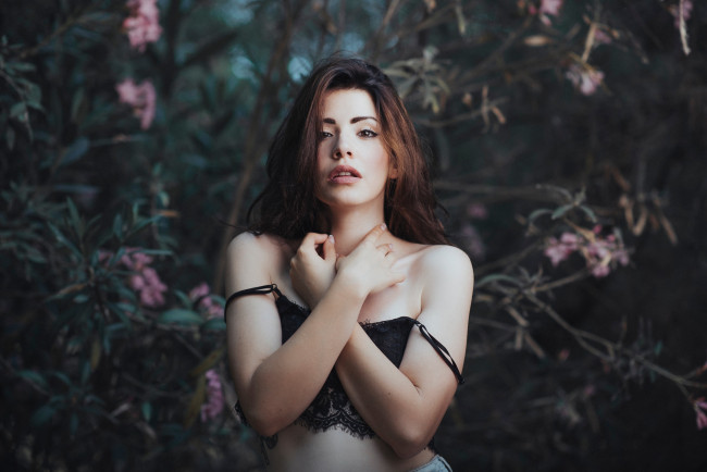 Обои картинки фото девушка, девушки, -unsort , брюнетки, темноволосые, модель