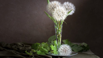 Картинка цветы одуванчики бокал букетик пушистый