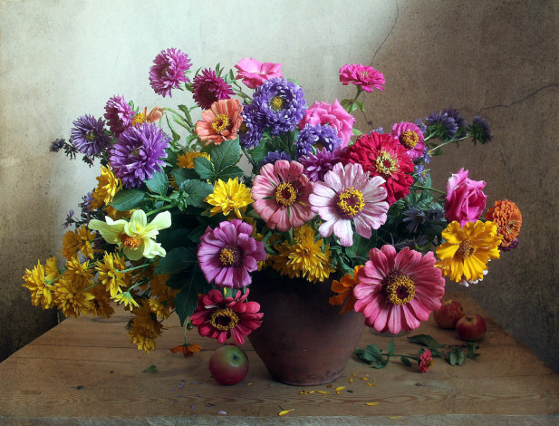 Обои картинки фото цветы, букеты,  композиции, цинния, астры