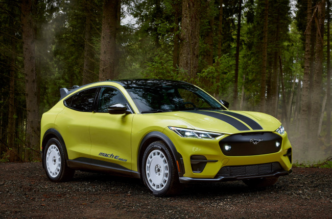 Обои картинки фото автомобили, ford, mustang