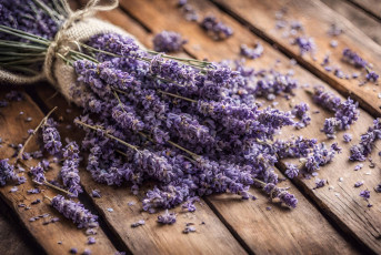 обоя цветы, лаванда, доски, лепестки