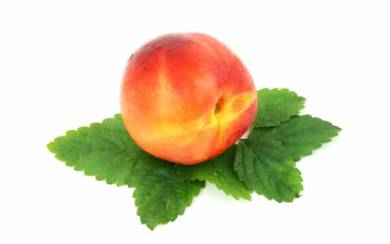 обоя еда, персики,  сливы,  абрикосы, нектарин