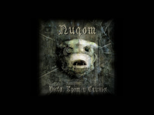 обоя пилот, ркс, музыка