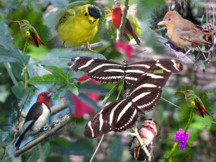 Картинка природы нет плохой погоды животные разные вместе