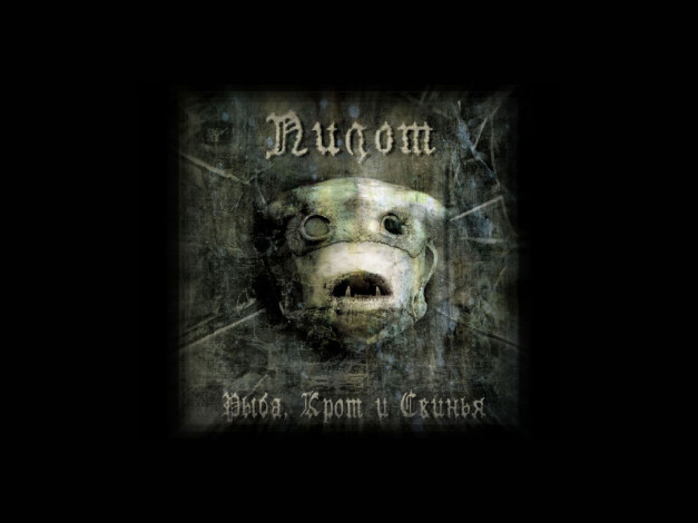 Обои картинки фото пилот, ркс, музыка