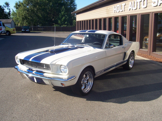 Обои картинки фото автомобили, ford