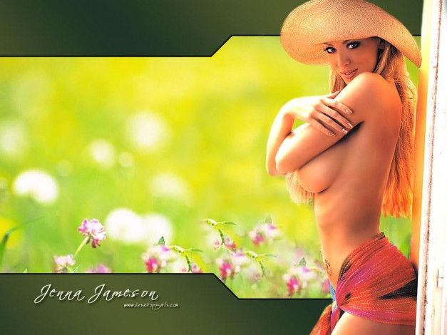 Обои картинки фото Jenna Jameson, девушки