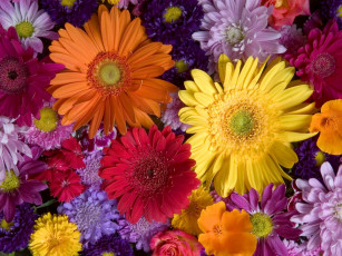 Картинка цветы разные вместе