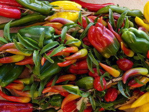 Картинка еда перец