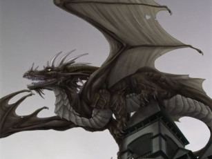 Картинка фэнтези драконы