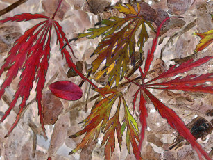 Картинка рисованные природа