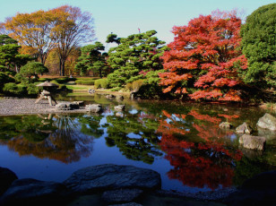 Картинка природа