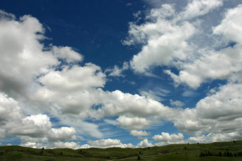 Картинка природа