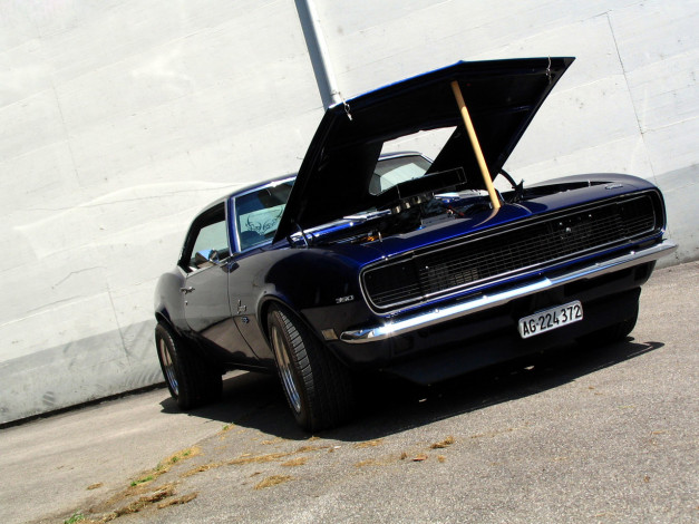 Обои картинки фото автомобили, camaro