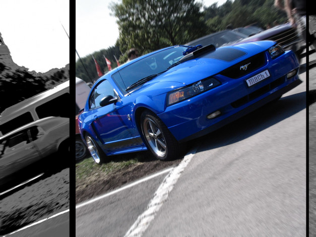 Обои картинки фото автомобили, ford