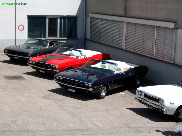 Обои картинки фото автомобили, разные, вместе