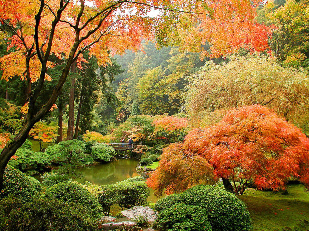 Обои картинки фото природа