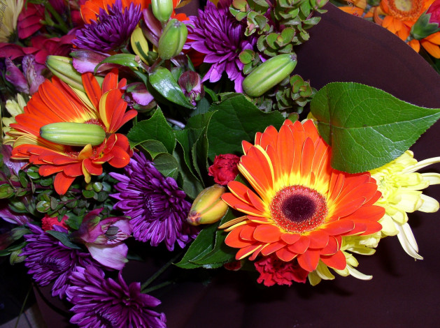 Обои картинки фото цветы, разные, вместе