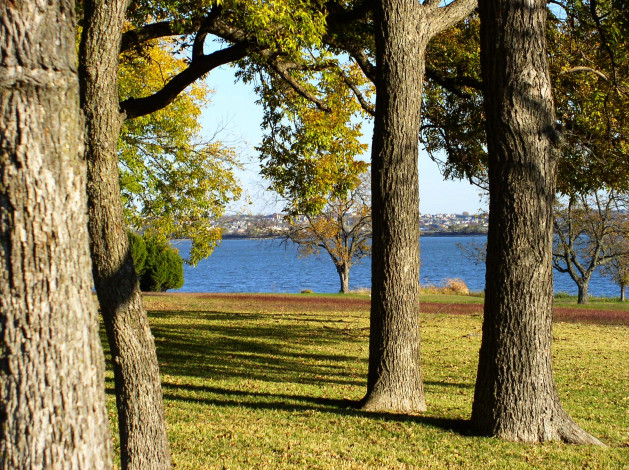 Обои картинки фото природа