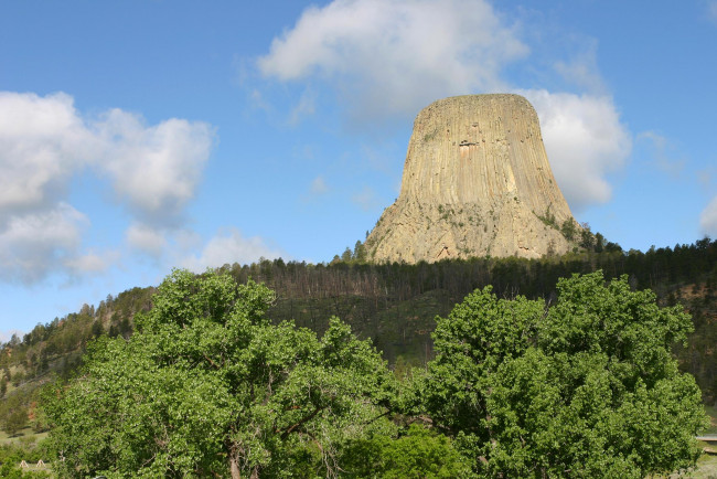 Обои картинки фото природа