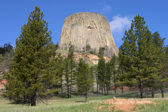 Обои картинки фото природа