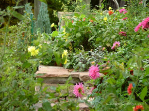 Картинка цветы разные вместе