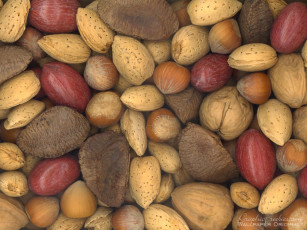 Картинка еда орехи каштаны
