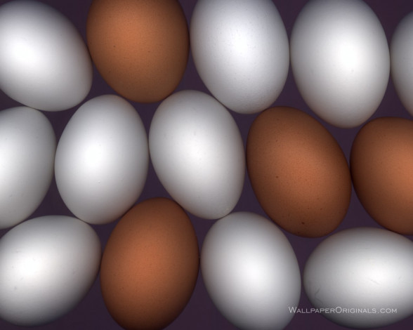 Обои картинки фото еда, Яйца