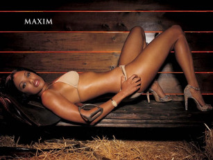 Картинка бренды maxim