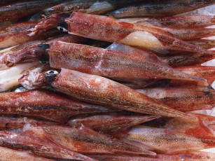 Картинка еда рыба морепродукты суши роллы