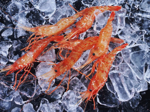 Картинка еда рыба морепродукты суши роллы