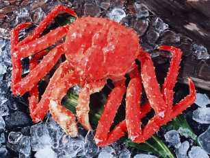 Картинка еда рыба морепродукты суши роллы